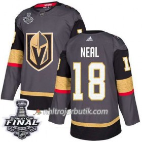 Män Ishockey Vegas Golden Knights Tröja James Neal 18 2018 Stanley Cup Final Patch Adidas Grå Authentic